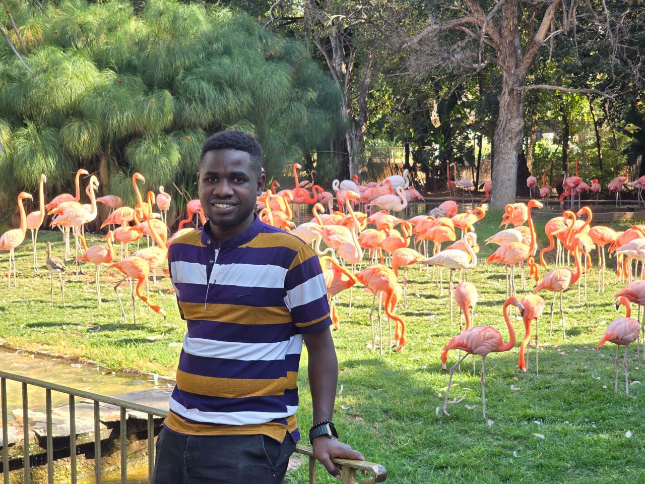 Philipo Mabula's avatar